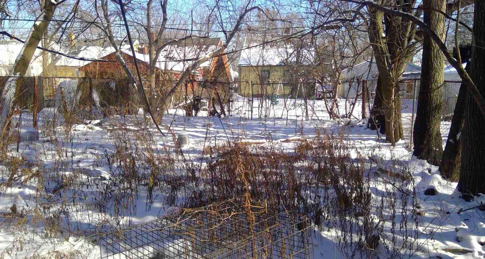 Screenshot 2022-02-06 181241.jpg